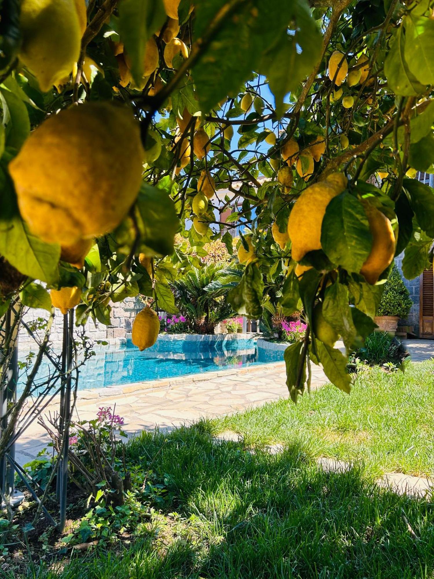 Maison Villa Angela SantʼAgata sui Due Golfi Exteriér fotografie